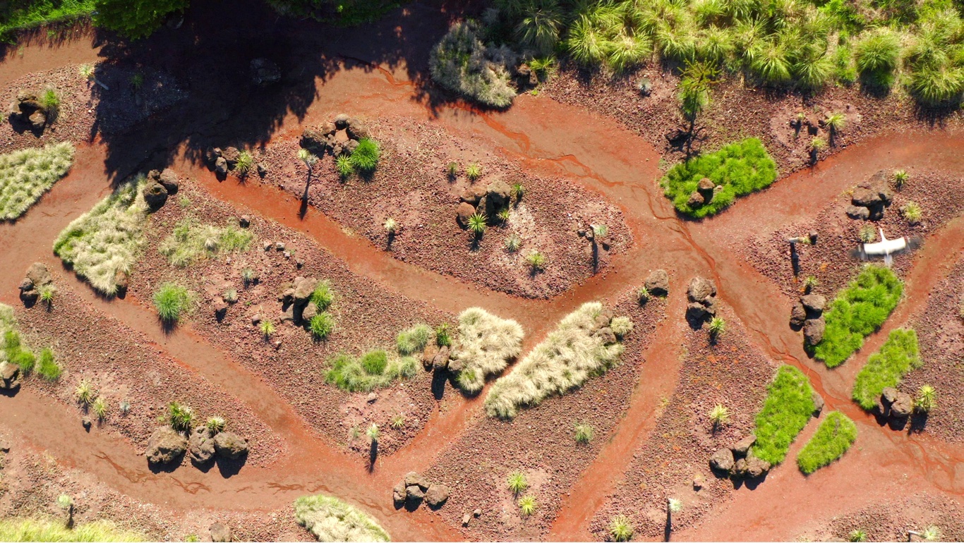 Survol en drone d'une cigogne en vol au dessus d'un paysage d'amérique du sud