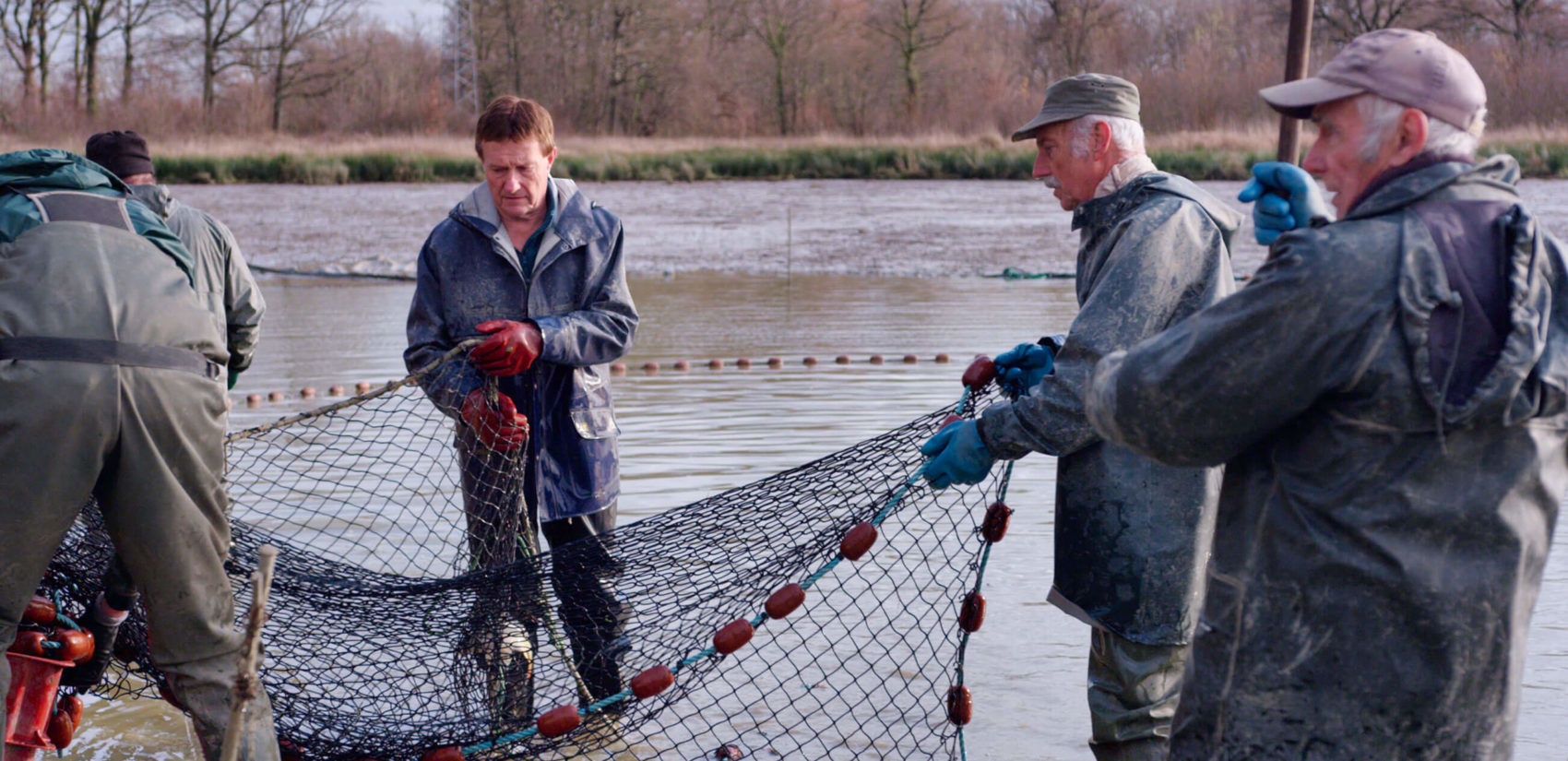 pêche d'étangs en Dombes