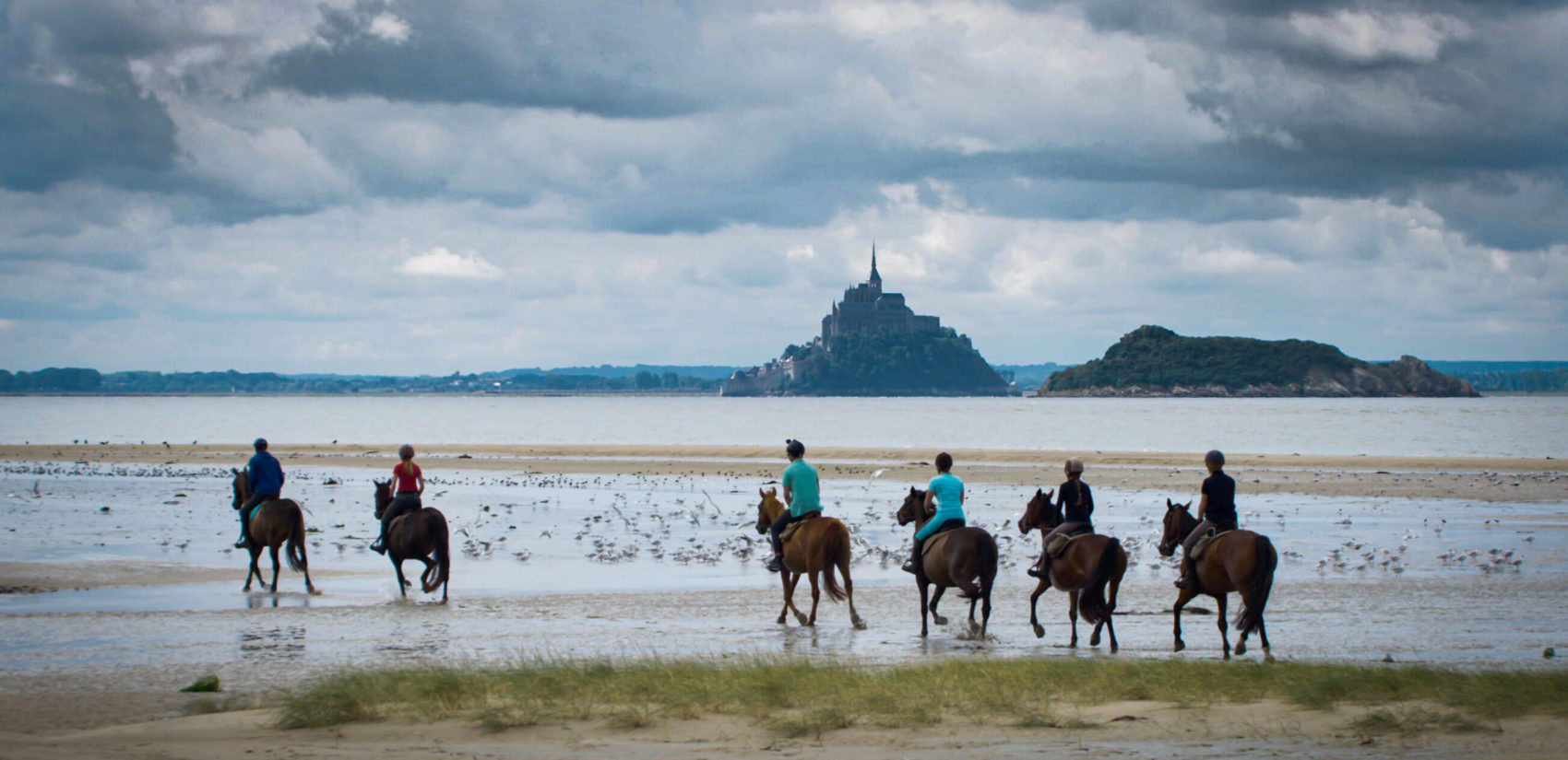 chevaux devant le mont saint michel