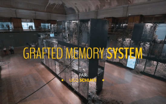 Vignette Grafted Memory System